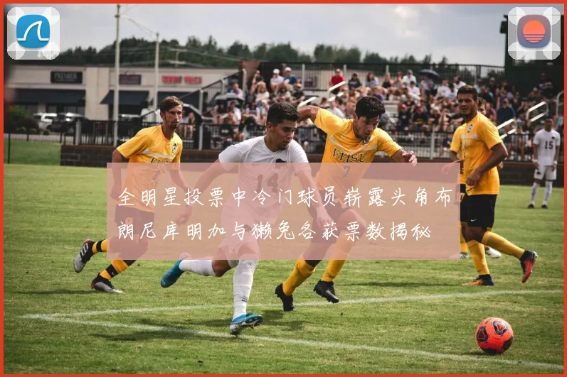 全明星投票中冷门球员崭露头角布朗尼库明加与獭兔各获票数揭秘
