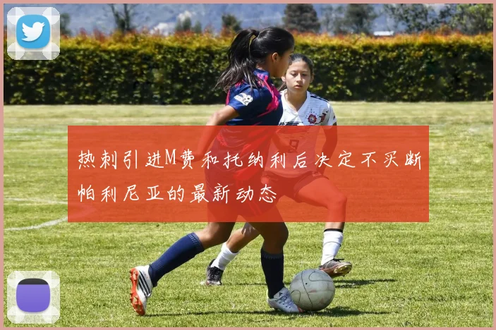 热刺引进M费和托纳利后决定不买断帕利尼亚的最新动态