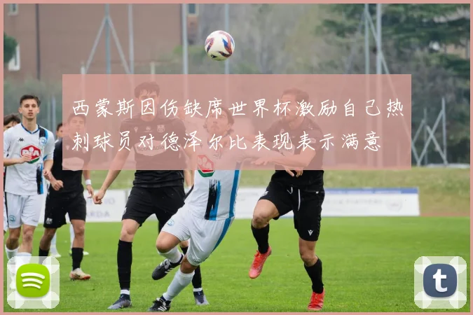 西蒙斯因伤缺席世界杯激励自己热刺球员对德泽尔比表现表示满意
